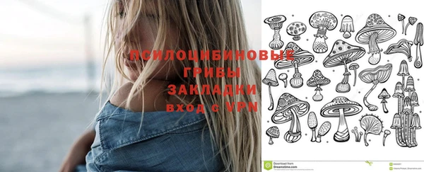 первитин Армянск